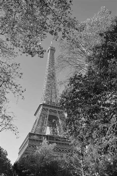 Eiffel Tower Eiffel Tower Black And White Paris Is The Capital Of