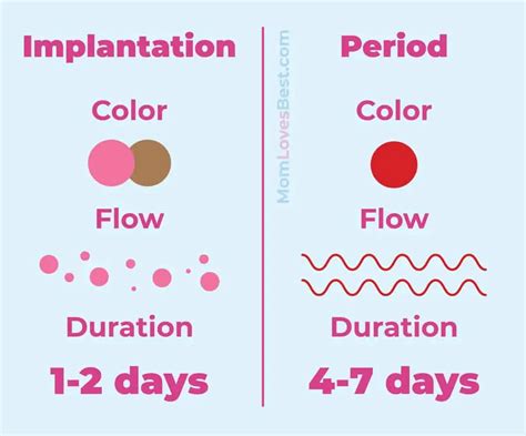 Implantation Bleeding When Does It Start How Long Does It Last