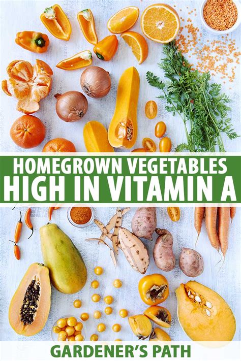 Homegrown Vegetables High In Vitamin A Gardeners Path