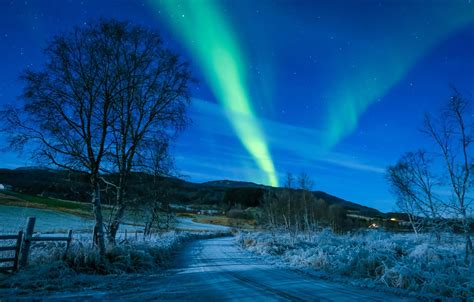 Wallpaper Winter Road The Sky Trees Northern Lights Norway Norway