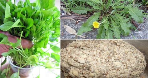 15 Herbal Remedies For Goitre