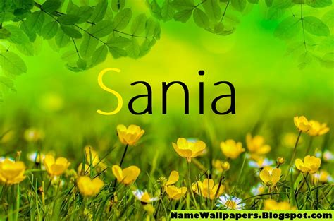 sania name wallpapers sania ~ name wallpaper urdu name meaning name images logo signature
