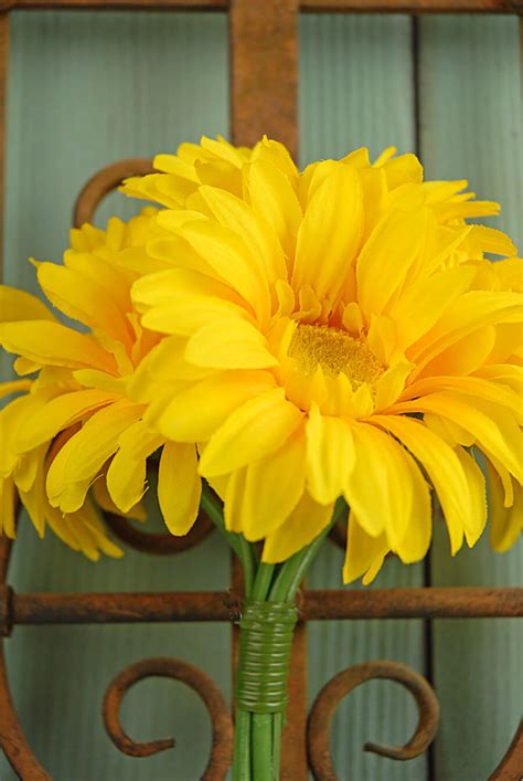 Yellow Gerbera Daisy Bouquet