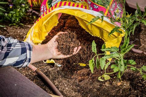 Raised Bed Soil Vs Garden Soil Kellogg Garden Organics™