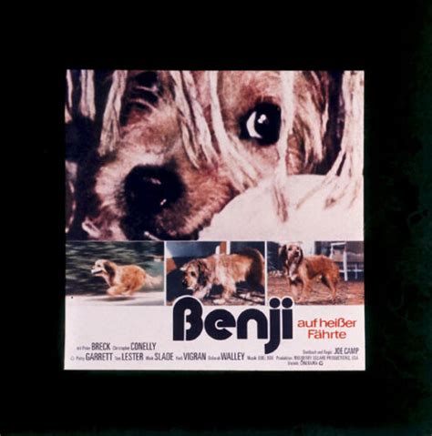 Benji Auf Heißer Fährte Original Kino Dia Film Dia Diacolor Peter