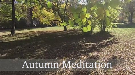 Autumn Meditation Monday Mindfulness Youtube