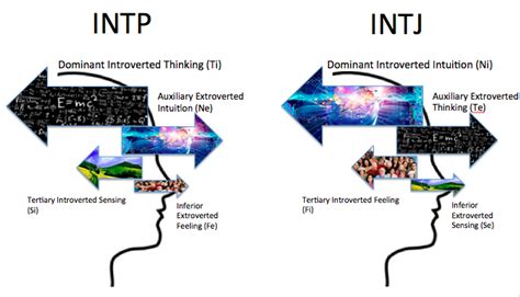 High On Mbti — What Is The Difference Between An Intp And An
