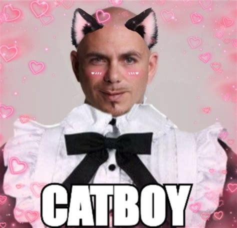 Catboy Pitbull 🤤 In 2021 Mr Worldwide Pitbull Costume Catboy Funny