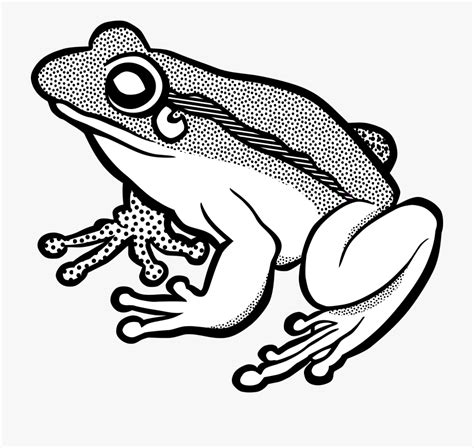 Frog Clipart Black And White Wood Pictures On Cliparts Pub 2020 🔝
