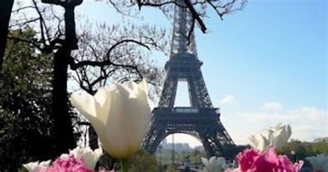 Spring Around Eiffel Tower Imgur