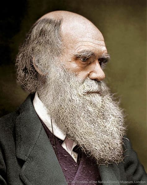 Who Is Charles Darwin Mathiasmcymooney