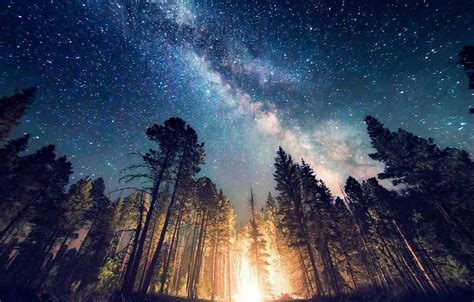 Nature Landscape Mountain Trees Starry Night Milky Way Galaxy Lights