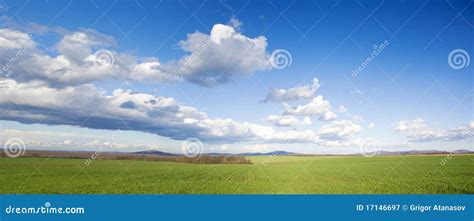 Green Meadow And Blue Sky Stock Image Image Of Summer 17146697