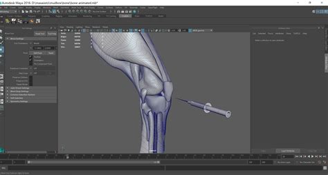 Legs Animation Meniscus Animation 3d Model Animated Rigged Cgtrader