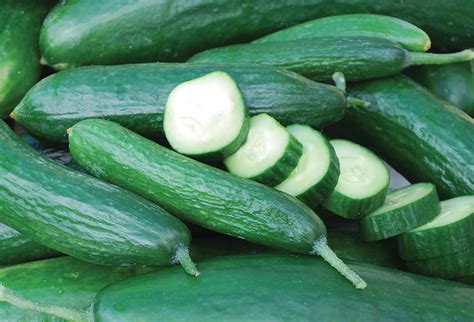 3 Types Of Cucumbers For Your Garden Jung Seed Gardening Blog