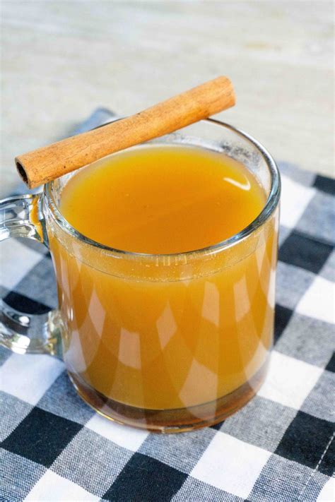 Easy And Delicious Instant Pot Pumpkin Apple Cider
