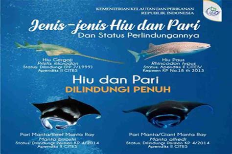 Status Perlindungan Hukum Ikan Hiu Dan Ikan Pari Part 2