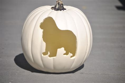 Easy Dog Pumpkin Carving Patterns My Brown Newfies
