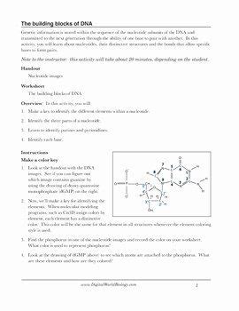 Two angles are called complementary angles if the sum of their degree measurements equals 90 degrees (right angle). Dna Base Pairing Worksheet Answers - worksheet