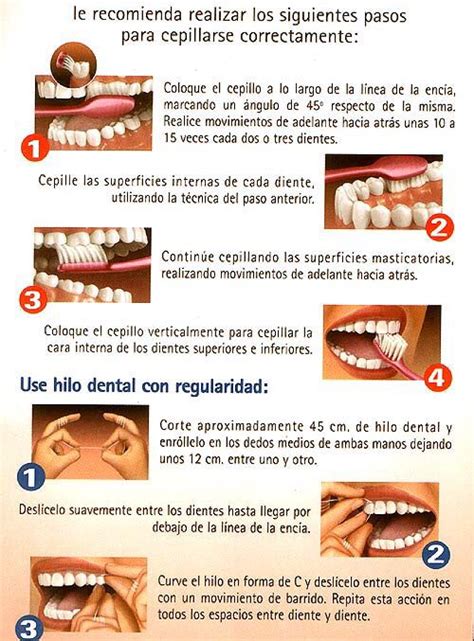 Técnica De Cepillado Dental Y Técnica De Uso Del Hilo Dental