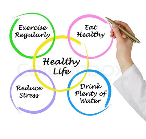 Diagram Of Healthy Life Stock Image Colourbox