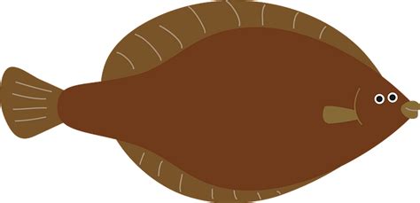 100 Flounder Png Images