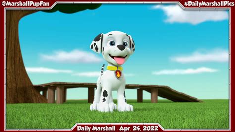 Marshall Pup Fanatic On Twitter Daily Marshall April 24 2022