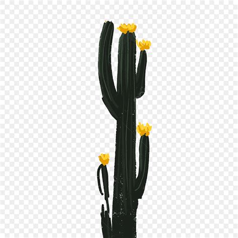 Cactus Vector Black