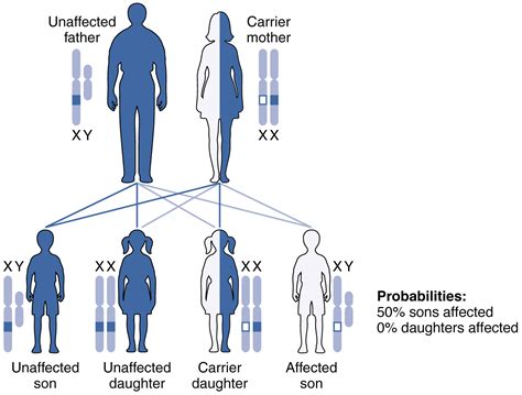 It is recessive, but he does not have the other x chromosome to suppress it. Patterns of Inheritance · Anatomy and Physiology