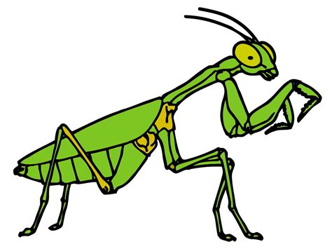 Green Grasshopper Clip Art Free Image Download