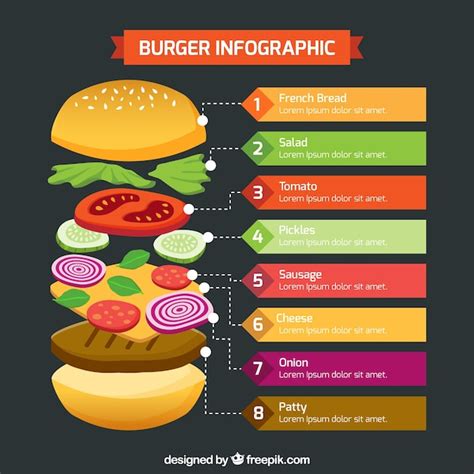 Infographic About The Hamburger Vector Premium Download