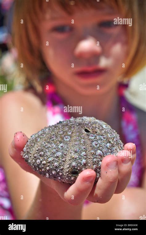 Young Child With Shell Hi Res Stock Photography And Images Alamy