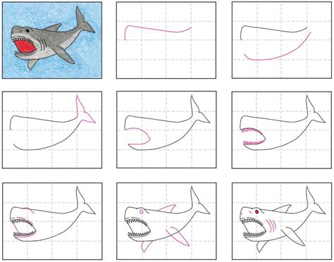 Draw a Megalodon Shark · Art Projects for Kids