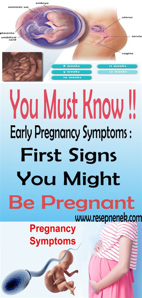 Early Pregnancy Symptoms First Signs You Might Be Pregnant Recipes