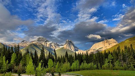 Mount Lougheed Alberta Canada Canadian Rockies Forest Trees
