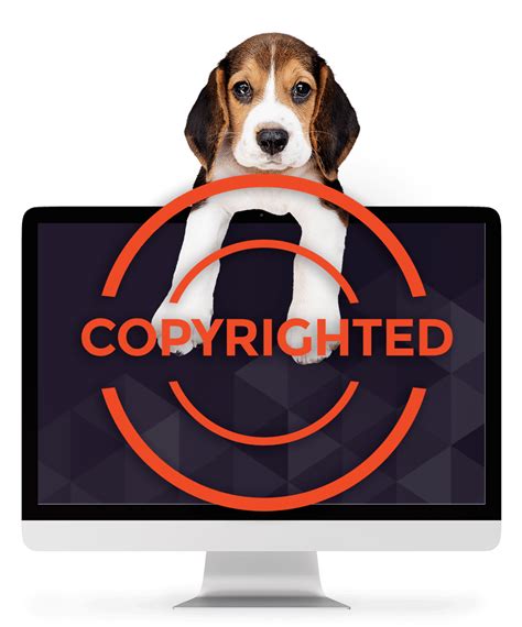 Copyright Detector Check For Copyright Protection In Images