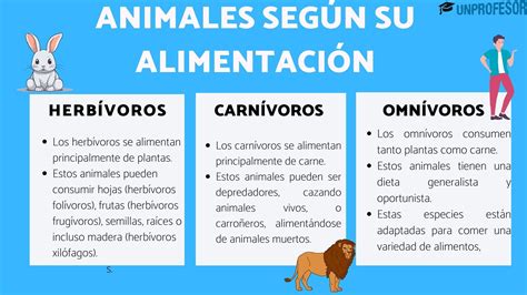Clasificacion De Los Animales Clasificacion De Los An