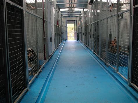 The Kennels Mount Pleasant Kennels