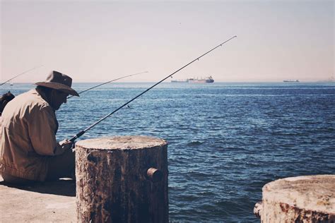 ️ Comprar CaÑas Para Pescar La Torra Pesca