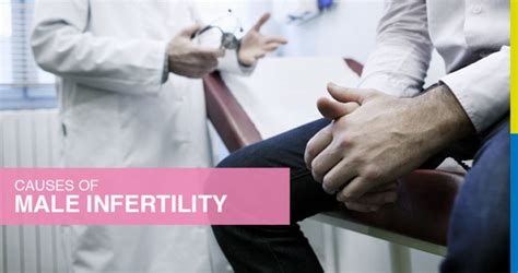 Causes Of Male Infertility Sincere Ivf Center