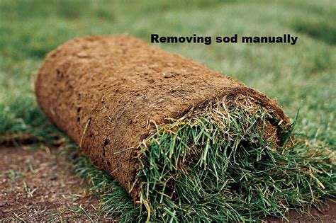 Best 4 Ways Of Removing Sod Ultimate Guide Of Cutting Sod