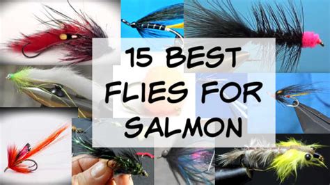 15 Best Flies For Salmon Pictures Included Guide Recommended