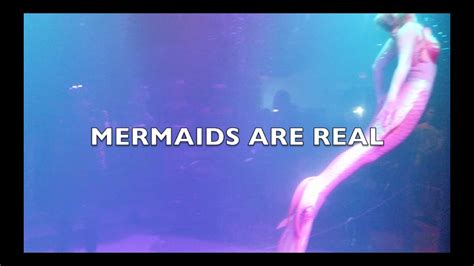Living Mermaids Renaissance Festiva Leticiavlogs Youtube