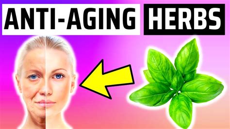 5 Anti Aging Herbs That Help You Look Younger Youtube
