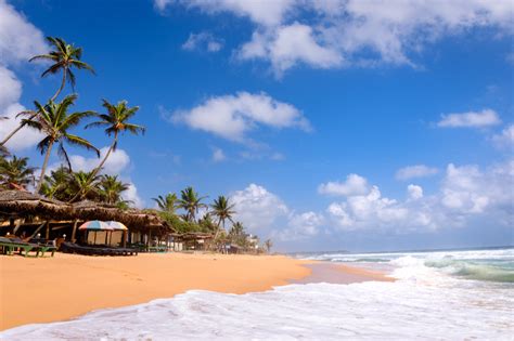 Sri Lanka Wakacje Atrakcje I Ciekawe Miejsca Cejlonu Fly Pl