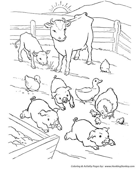 Barn Yard Pigs Coloring Pages Printable Farm Animal