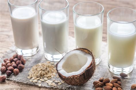 Non Dairy Milk Recipes 10 Easy And Delicious Concoctions