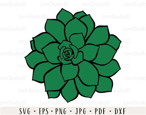 Succulent Svg Bundle Succulent Cut File Succulent Monogram Etsy