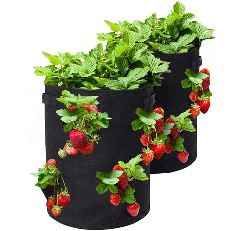 Strawberry Grow Bags Pack Of 2 Easylife