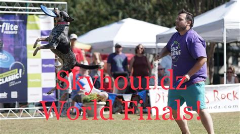 Psycho Suzi And Ben Rimbey Skyhoundz World Disc Dog Finals 2022 Youtube
